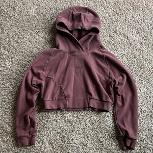 Alphalete Identity Cropped Pro Hoodie!